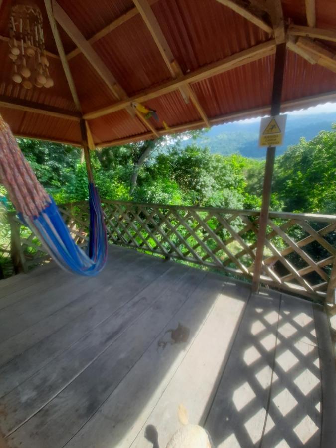 אל סאינו Deep Forest Posadas Ecoturisticas מראה חיצוני תמונה