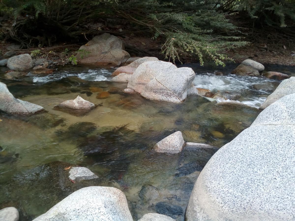 אל סאינו Deep Forest Posadas Ecoturisticas מראה חיצוני תמונה