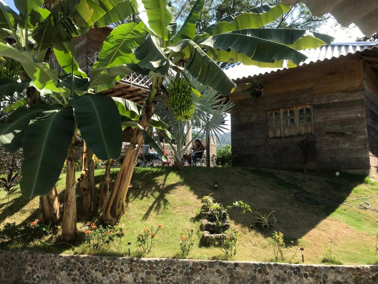 אל סאינו Deep Forest Posadas Ecoturisticas מראה חיצוני תמונה