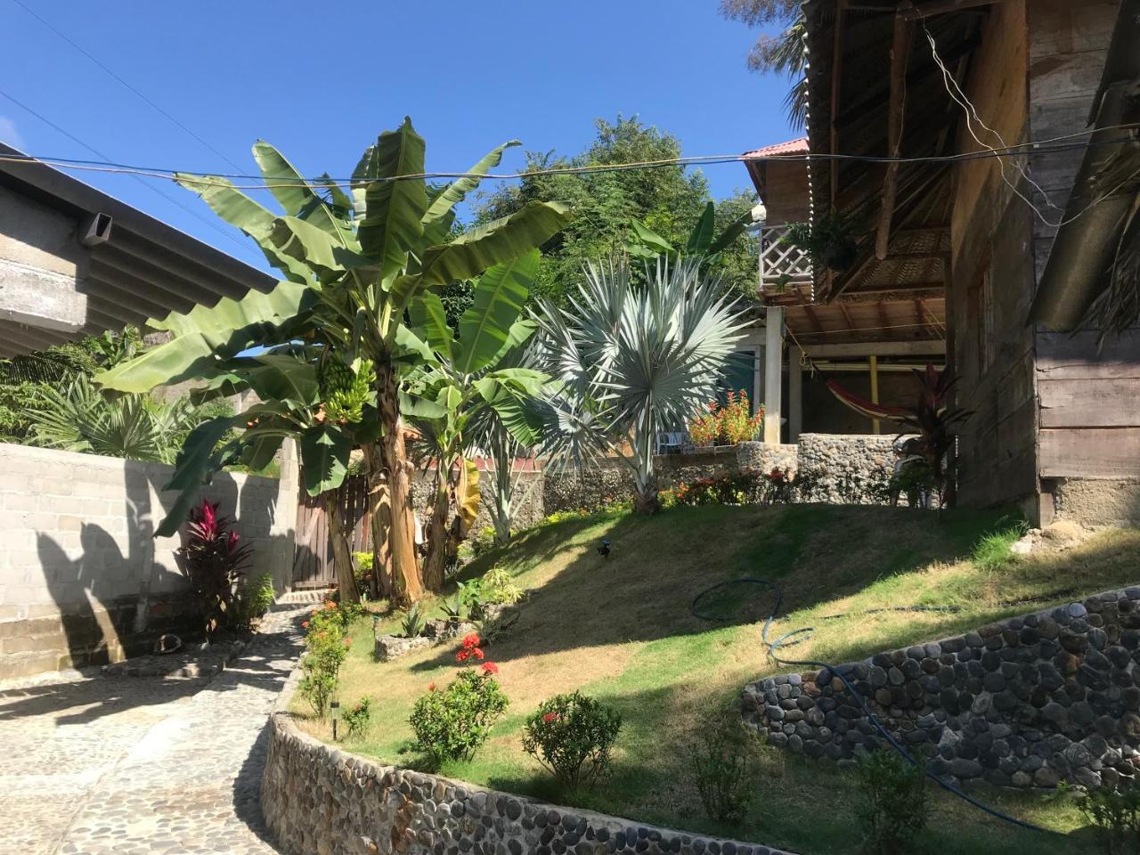 אל סאינו Deep Forest Posadas Ecoturisticas מראה חיצוני תמונה