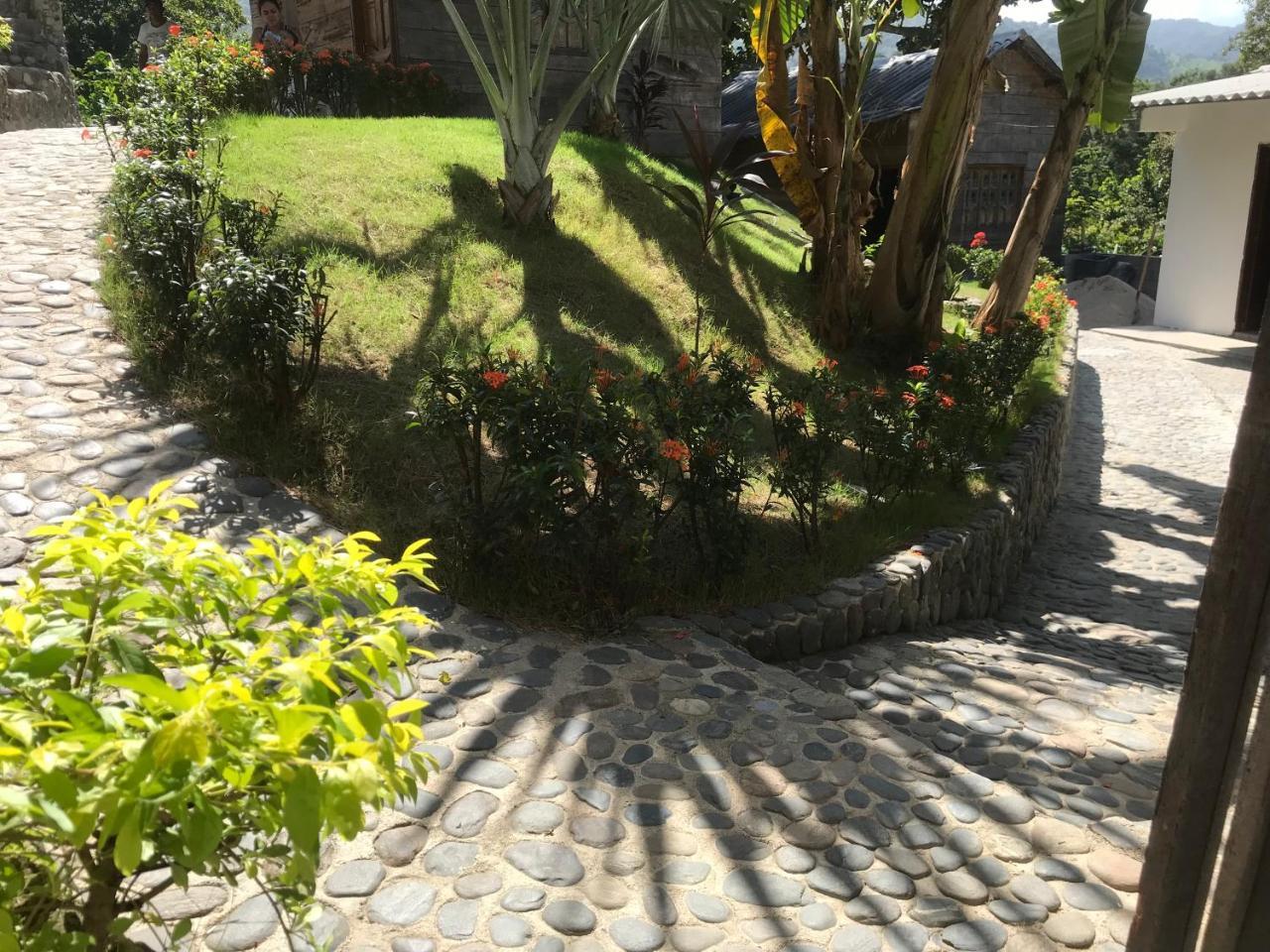 אל סאינו Deep Forest Posadas Ecoturisticas מראה חיצוני תמונה