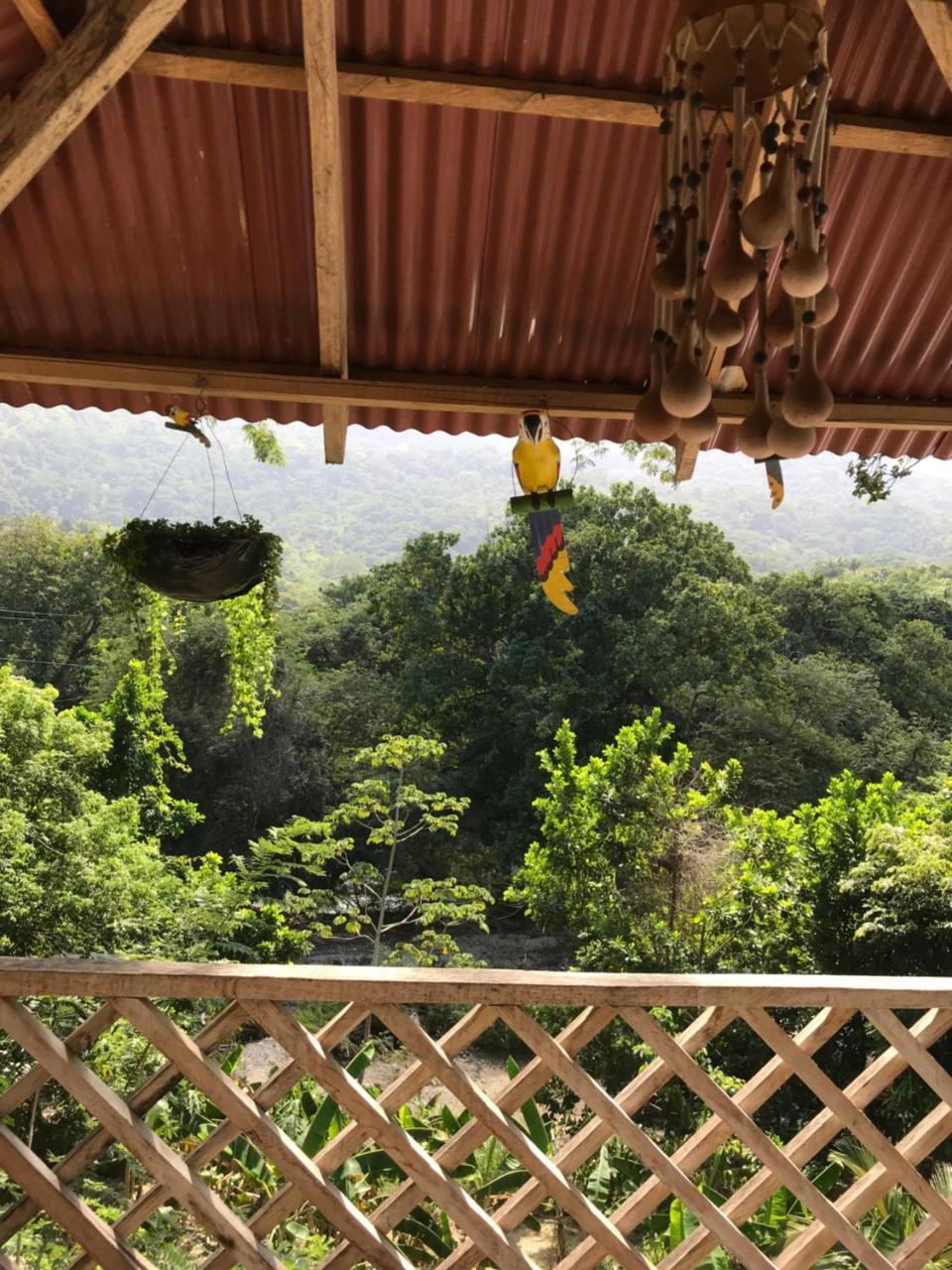 אל סאינו Deep Forest Posadas Ecoturisticas מראה חיצוני תמונה
