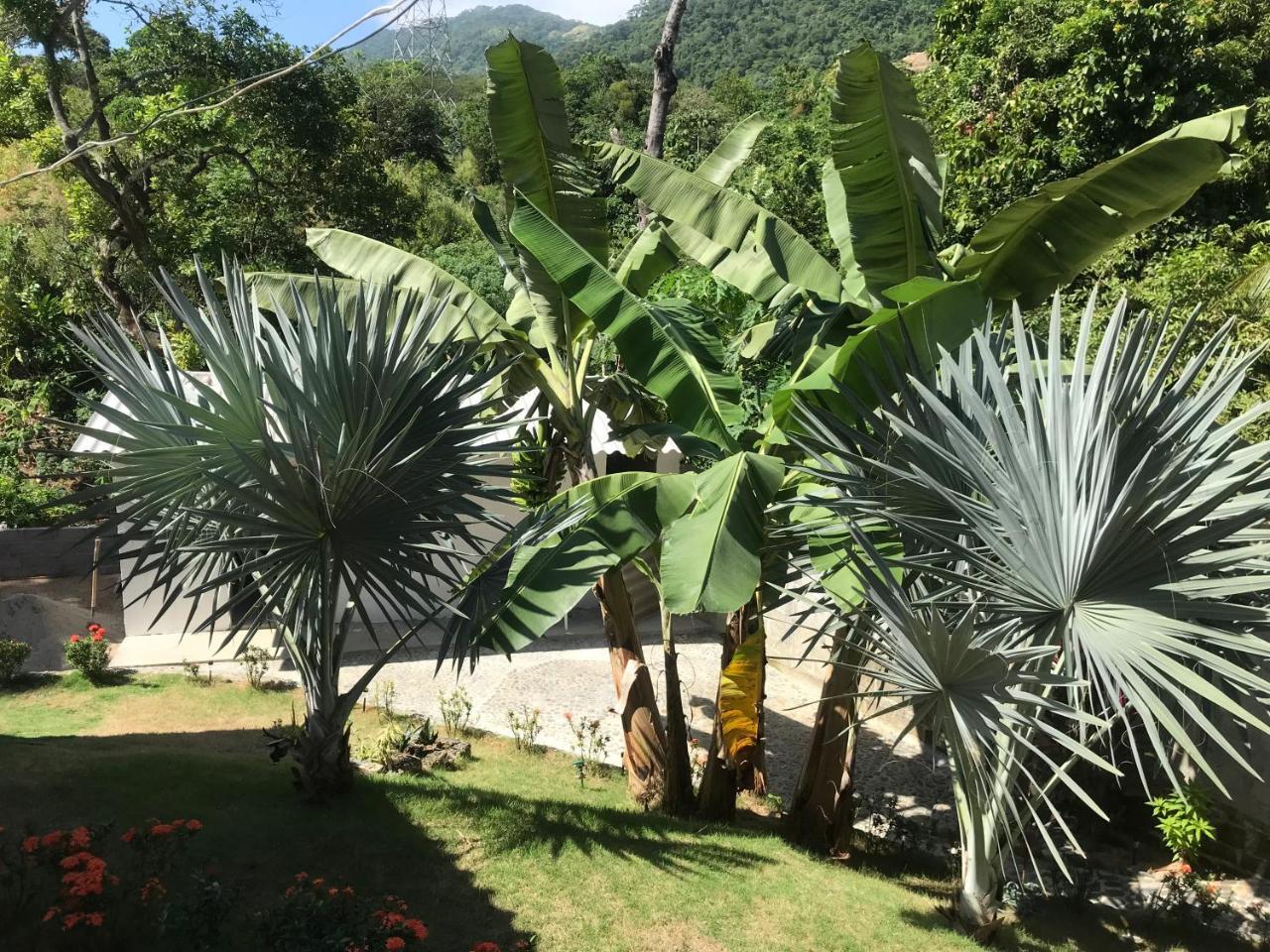 אל סאינו Deep Forest Posadas Ecoturisticas מראה חיצוני תמונה